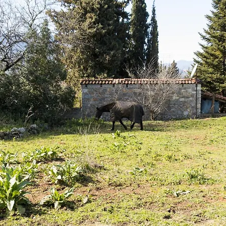 Raise Mountain Holiday home