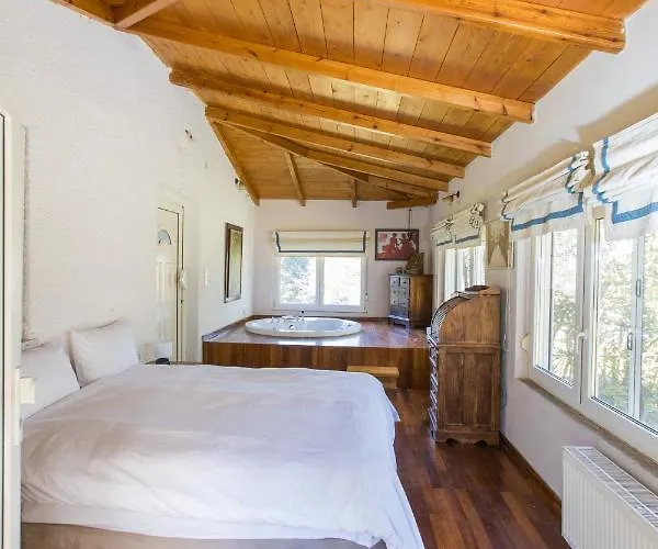 Raise Mountain Polydrossos