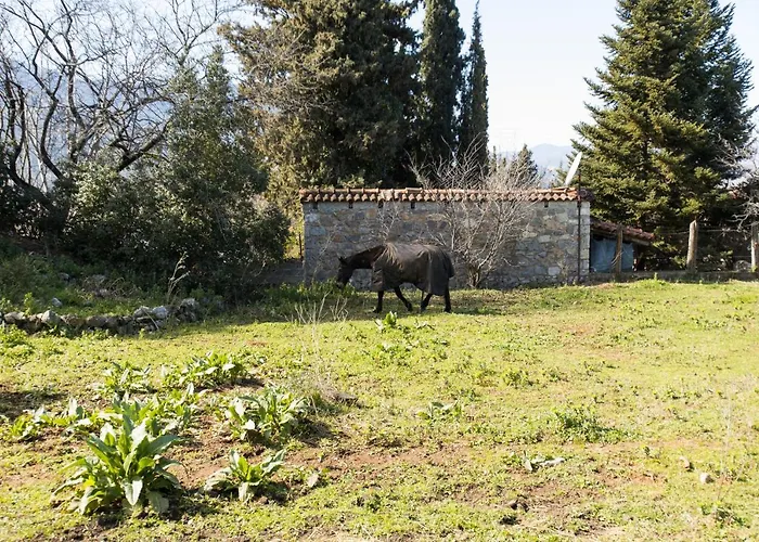 Raise Mountain Casa de Férias